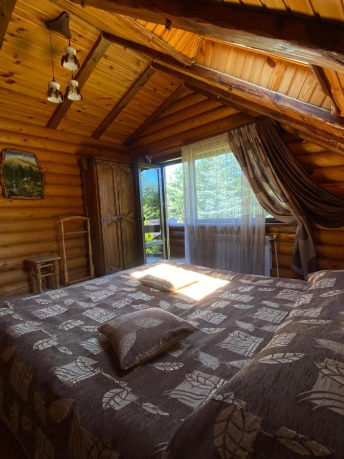 Sofiya Villa Микуличин Екстериор снимка
